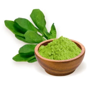 Manufacturer and Exporter of Sun Dried Spinach Powder in India
